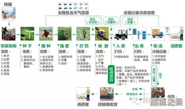 三角洲行动：全方位攻略解析，如何高效获取顶级3x3安全箱