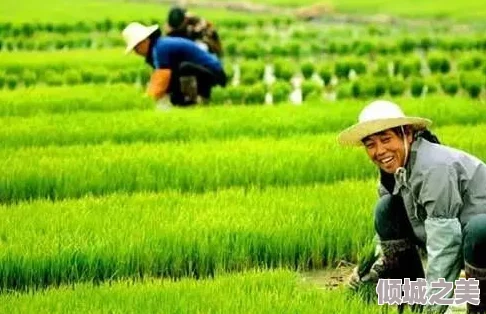 耕种姨妈肥沃的土地：探讨女性生理周期对农业生产和土壤健康的影响与关系