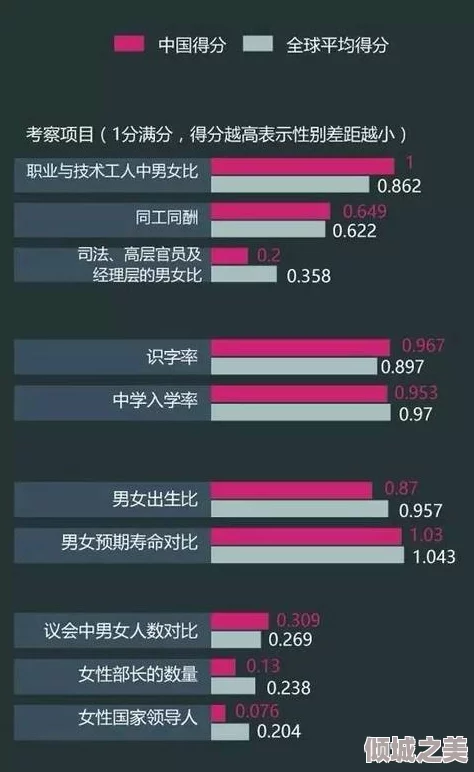 欧美大逼：对比分析西方国家与中国在性别平等和女性权利方面的差异及其社会影响